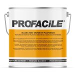 Peinture blanche mate int�rieure 2 en 1 ? sous - couche int�gr�e ? s�chage rapide 30 min ? pour murs ...