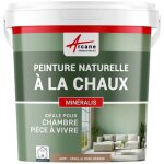 Arcane industries - peinture chaux, naturelle : peinture sans �manation, mineralis - 60 m� (2x5 kg en ...