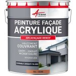Peinture, faade, acrylique, 14 couleurs, durable, jusqu' 15, ans, rnovation, faade, mur, crpi : ...
