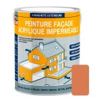 Procom ? peinture fa�ade acrylique imperm�able ? protection durable jusqu'� 10 ans ? application facile ...
