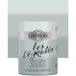 Peinture meuble lib�ron 'les d�grad�s' les gris souris 0, 6 l