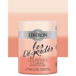 Peinture meuble lib�ron 'les d�grad�s' les roses corail 0, 6 l
