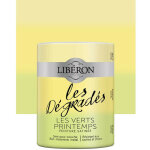 Peinture meuble libron 'les dgrads' les verts printemps 0, 6 l
