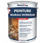 Peinture murale interieur - vert p�le - ral 6021 - 5 l - m�taltop