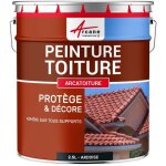 Arcane industries - peinture toiture, tuile, ciment et terre cuite - 2. 5 l gris ardoise - ral 7015