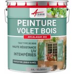 Arcane industries - peinture volet en bois, extrieur, couleur - 0. 5 l telegris 4 - ral 7047