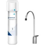 Pentair - filtre de base freshpoint f1000 - dfb � 1 �tape