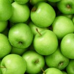 Pommier 'granny smith' (malus domestica 'granny smith')