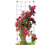 Kadax - pergola de jardin support métallique pour plantes roses fleurs grille 65x170cm Kadax - pergola de jardin support métallique pour plantes roses fleurs grille 65x170cm