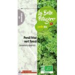 Persil frisé vert foncé 2 g Persil frisé vert foncé 2 g