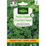 Persil fris� vert fonc� - grand mod�le vilmorin
