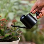 Petit arrosoir 300ml, acier inoxydable arrosoir plante interieur, avec long bec et poignée, mini arrosoirs ... Petit arrosoir 300ml, acier inoxydable arrosoir plante interieur, avec long bec et poignée, mini arrosoirs ...