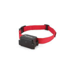Petsafe - collier supplmentaire super radio fence - pour clture anti - fugue pour chien compatible ...