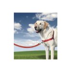 Petsafe - harnais ducation easy walk pour chien dsignation : harnais rouge taille : s 3116