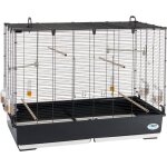 Piano 7 volière cage à oiseaux piano 7 : cage en métal avec accessoires pour oiseaux. . variante piano ... Piano 7 volière cage à oiseaux piano 7 : cage en métal avec accessoires pour oiseaux. . variante piano ...