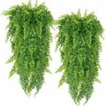 Pièces fausses plantes de fougère de boston artificielles fausses plantes tenture murale décoration de ... Pièces fausses plantes de fougère de boston artificielles fausses plantes tenture murale décoration de ...