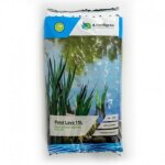 Pierre de lave substrat pour bassin et filtration - moerings pond lava - 16 - 32mm