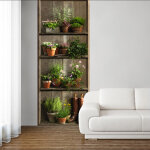 Plage - papier peint intiss� 250 cm x 96 cm, d�cor rustique avec �tag�re, plantes vertes et bottes anciennes ...