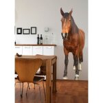 Plage - sticker autocollant photo cheval 60x170cm dcoration intrieure animaux maison bureau dcor mural ...
