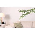 Sticker autocollant x2 34x48cm photo branche lierre - d�co murale int�rieure pour maison et bureau