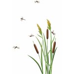 Planche de d�coration adh�sive 73. 1 x 44. 2 cm - roseaux