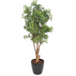 Pegane - plante artificielle haute gamme spécial extérieur aralia, coloris vert - dim : 165 x 80 cm Pegane - plante artificielle haute gamme spécial extérieur aralia, coloris vert - dim : 165 x 80 cm