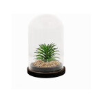 Plante artificielle sous cloche en verre 13x19cm - motif 3 silumen