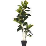 Plante fleur artificielle figuier 134 cm de hauteur avec pot inclus look tr�s naturel et d�coratif ajout ...