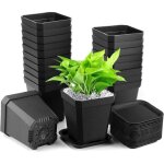 Plante pots, 20 pcs semis pots de fleurs avec soucoupe, pots de plantes carrs pais(7 x 8 x 5)