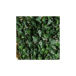 Jet7garden - mur v�g�tal 12 plaques feuillage artificiel lierres - 3m2 - vert