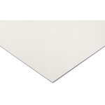 Rs pro - plaque pc incolore, 305mm x 625mm x 5mm ( prix pour 1 )