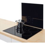 Zeller - plaque en verre noir pour po�le ? grande