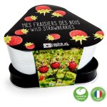 Plateau trio pots zinc - fraisier des bois