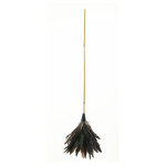 Plumeau coq naturel jonc 70