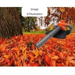 Aspirateur, souffleur, broyeur, thermique, 7500 tours / min, sac de 50 l Aspirateur, souffleur, broyeur, thermique, 7500 tours / min, sac de 50 l