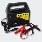 Le poisson qui jardine - chargeur 6a de batterie rapide - 1106s - batteries 6v et 12v