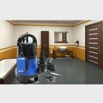 Le poisson qui jardine - pompe eaux sales ou vide caves, irrigation, vidanges 12500 l / h