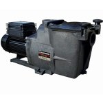 Pompe de filtration piscine super pump hayward 3 / 4 cv mono 11 m³ / h 1''1 / 2 Pompe de filtration piscine super pump hayward 3 / 4 cv mono 11 m³ / h 1''1 / 2