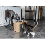 Porte gamelle pour chat haloyo et petit chien r�glable, gamelle surelevee, durable bambou, support avec ...