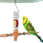 Porte - nourriture pour oiseaux, jouets de recherche de nourriture pour perroquets pour cage � oiseaux, ...