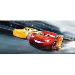 Poster gant horizontal cars 3 disney 202x90 cm