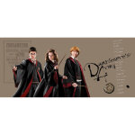 Poster g�ant horizontal harry potter et ses amis hermione et ron 170 x 75 cm