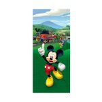 Poster pour porte mickey mouse et ses amis donald et pluto de disney intisse 90x202 cm