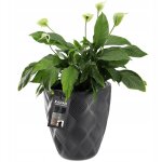 Kadax - pot de fleurs pot de fleurs avec couvercle anthracite 32, 5 cm