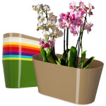Pot de fleurs en plastique - 27 x 13 cm - grand pot ovale - pour orchid�es, bellis, pens�es, draz�nes ...