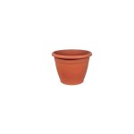 Gardenia pot en terre cuite - 22 cm