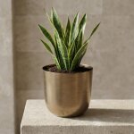 Pot mayk dor�? comfortxl green