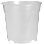 Pot orchid�e 15cm transparent - florus