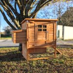 Poulailler barbu m 6  8 poules toit bois ouvrant