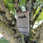 Poulailler direct - nichoir pour chauve - souris grande taille en bois fsc - bois